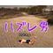 ハズレ男