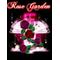 ﾟ*:Rose Garden:*ﾟ