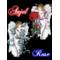 ｡*Anjel Rose-☆*ﾟ